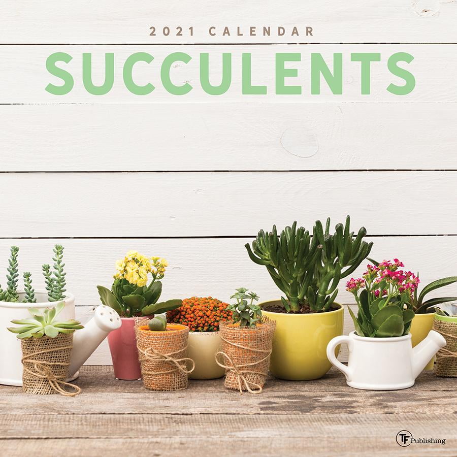 2021 Succulents Wall Calendar | Walmart Canada