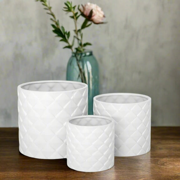 Diamora Ceramic Round Pot (Set of 3)