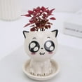thumbnail image 3 of JUNWELL Ceramic Flowerpot Mini Cat Shaped Cartoon Potted Plant Desktop Potted Expression Cat Plant Pot Desk Decorate Small Ornament, 3 of 3