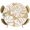 Brown, variant on Light Brown Monstera Deliciosa Round Tablecloth 36-44 Inch Round Fitted Table Cloth with Elastic Edge, Tropical Summer Botanical Waterproof Table Cover Protector for Outdoor Picnic Party Dining