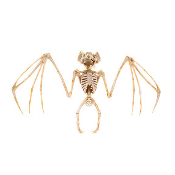 Halloween Bat Skeleton Decorations Halloween Realistic Scary Bat Skeleton Figurine Skeleton Ghost Festival Horror Props Scary Toys for Craft Halloween Hanging Decor & Party Favors