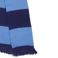 thumbnail image 3 of Result Winter Essentials Team Winter Scarf, 3 of 4