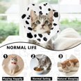 thumbnail image 4 of Miaocao Soft Adjustable Cat Cone Collar, Comfortable Cat Recovery Collar, 4 of 7