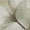 Celery, variant on Addison Rugs Mayfield Premium Machine Washable Transitional Botanical Taupe Rectangle Rug, 10' x 14'