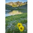 thumbnail image 2 of Illg, Cathy and Gordon 11x14 White Modern Wood Framed Museum Art Print Titled - CO, San Juan Mts Lake and alpine sunflowers, 2 of 4