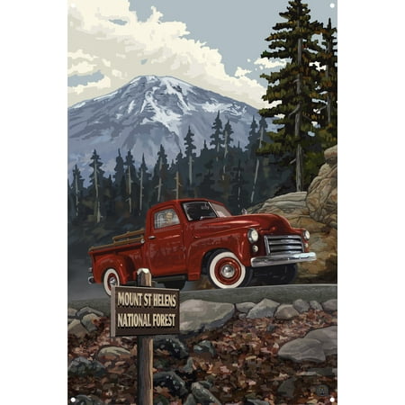 Mt St Helens National Forest Metal Art Print by Paul A. Lanquist (12
