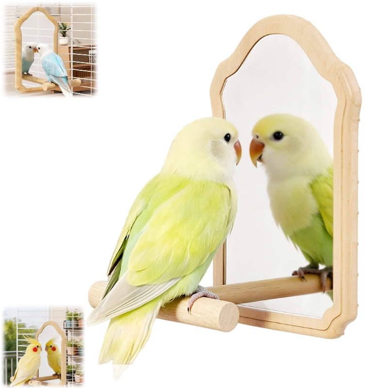 Mirror with Perch for Parrots, Wooden Standing Bird Mirror Toy Chewing Perch with Reflective Mirror for Cockatiel Lovebird Parakeet Bird Cage Accessories,small