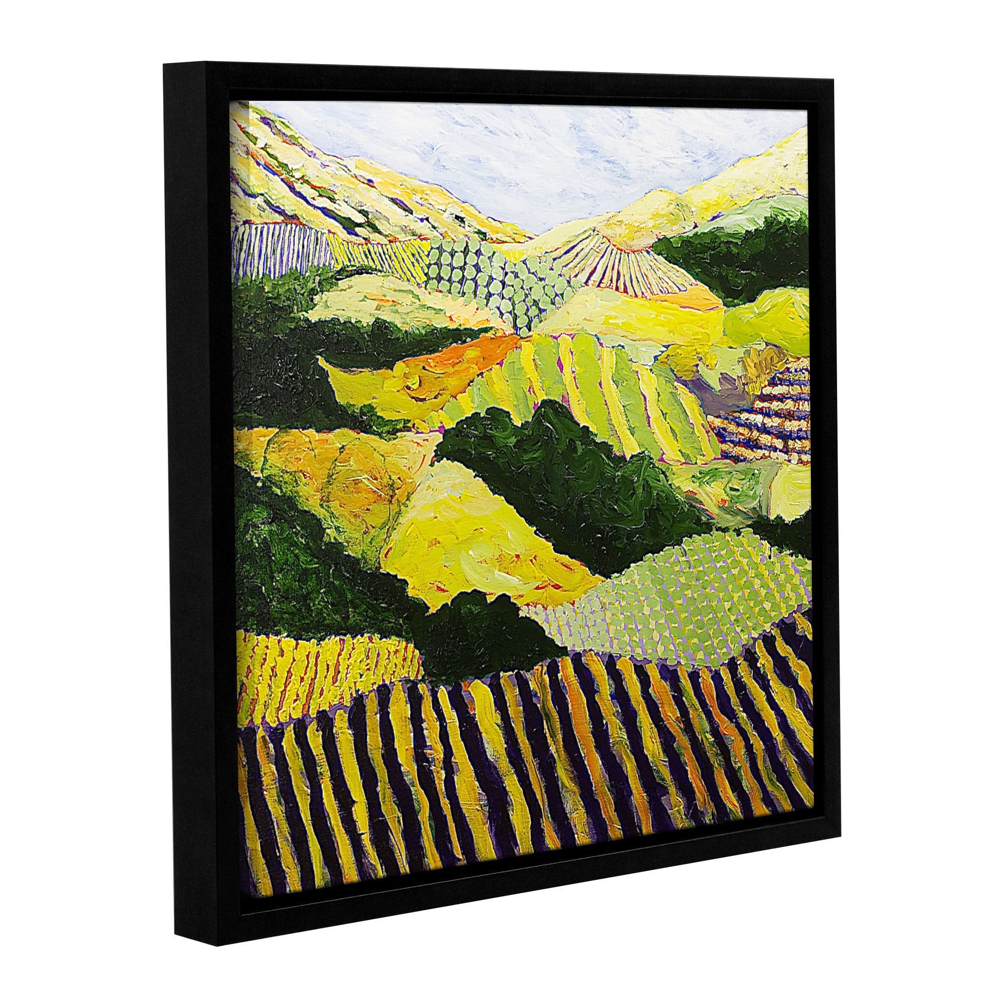 ArtWall Allan Friedlander "Delta Fields" Gallery-Wrapped Floater-Framed Canvas