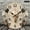 12x12in, variant on Patifu Round Wooden Wall Clock Geometric Light Bulb Art Deco Neutral Print Battery Operated 12x12in