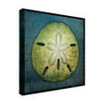thumbnail image 2 of Trademark Fine Art 'Sand Dollar' Canvas Art by John W. Golden, 2 of 3