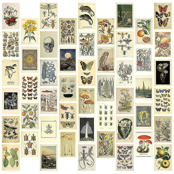Vintage Aesthetic Wall Collage Kit - 50 Mini Botanical Cottagecore Collage Art Posters (4x6inch), F-B10