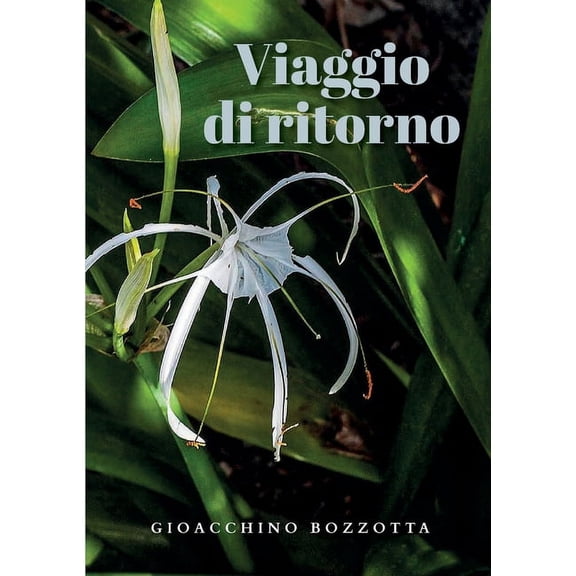 Viaggio di ritorno, (Paperback)