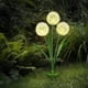thumbnail image 4 of León Solar Con Iluminación Led Blanca Cálida Luz De Flor Artificial Para Exteriores Con Punta De Tierra Noticed HA045716-01, 4 of 6