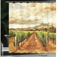 thumbnail image 4 of Ambesonne Country Shower Curtain, Cloudy Vineyard in Fall, 69"Wx70"L, Burnt Orange Off White, 4 of 5