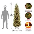 thumbnail image 4 of National Tree Company 7 ft. Carolina Pine Slim Tree with Clear Lights, 4 of 6