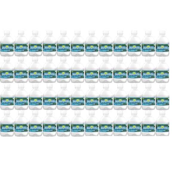 Zephyrhill Florida Spring Bottled Water, Still Drinking Water with Naturally Occurring Minerals for Taste - 8 Fl Oz Mini Bottles (48, 8 Fl Oz)