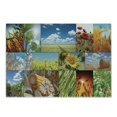 thumbnail image 1 of Rustic Cutting Board, Crops Under Sun Sunflower Wheat Field Rustic Farm Theme Idyllic Landscapes Print, Decorative Tempered Glass Cutting and Serving Board, Small Size, Multicolor, by Ambesonne, 1 of 1