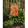 thumbnail image 2 of Carolines Treasures BB8173GF Sea Shell Orange Polkadot Flag, Garden Size, 2 of 3