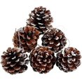 thumbnail image 1 of GHSDFBB Pine Cones 6 Pcs Natural Pine Cones 1.97" Christmas Rustic Pine Cones Mini Pinecones Snow Hanging Pine Cones with String for Xmas Thanksgiving Fall Party Craft Decorations (6), 1 of 7