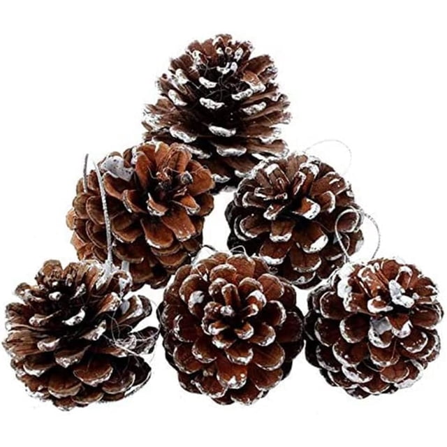 GHSDFBB Pine Cones 6 Pcs Natural Pine Cones 1.97" Christmas Rustic Pine Cones Mini Pinecones Snow Hanging Pine Cones with String for Xmas Thanksgiving Fall Party Craft Decorations (6)