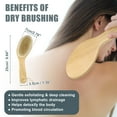 thumbnail image 4 of Unique Bargains Dry Brushing Body Brush Bristle Body Brush for Dry Skin Back Brush for Shower for Women, 4 of 7