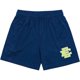 thumbnail image 1 of Pantalones cortos de deporte de malla para hombre, shorts masculinos de estilo informal con diseño de la ciudad de Nueva YORK SKYLINE de la EE. UU., para fitness y gimnasio, 2022 Fivean unisex, 1 of 2