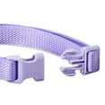 thumbnail image 3 of Vibrant Life Neoprene Cushioned Adjustable Dog Collar, Lilac, M, 3 of 7