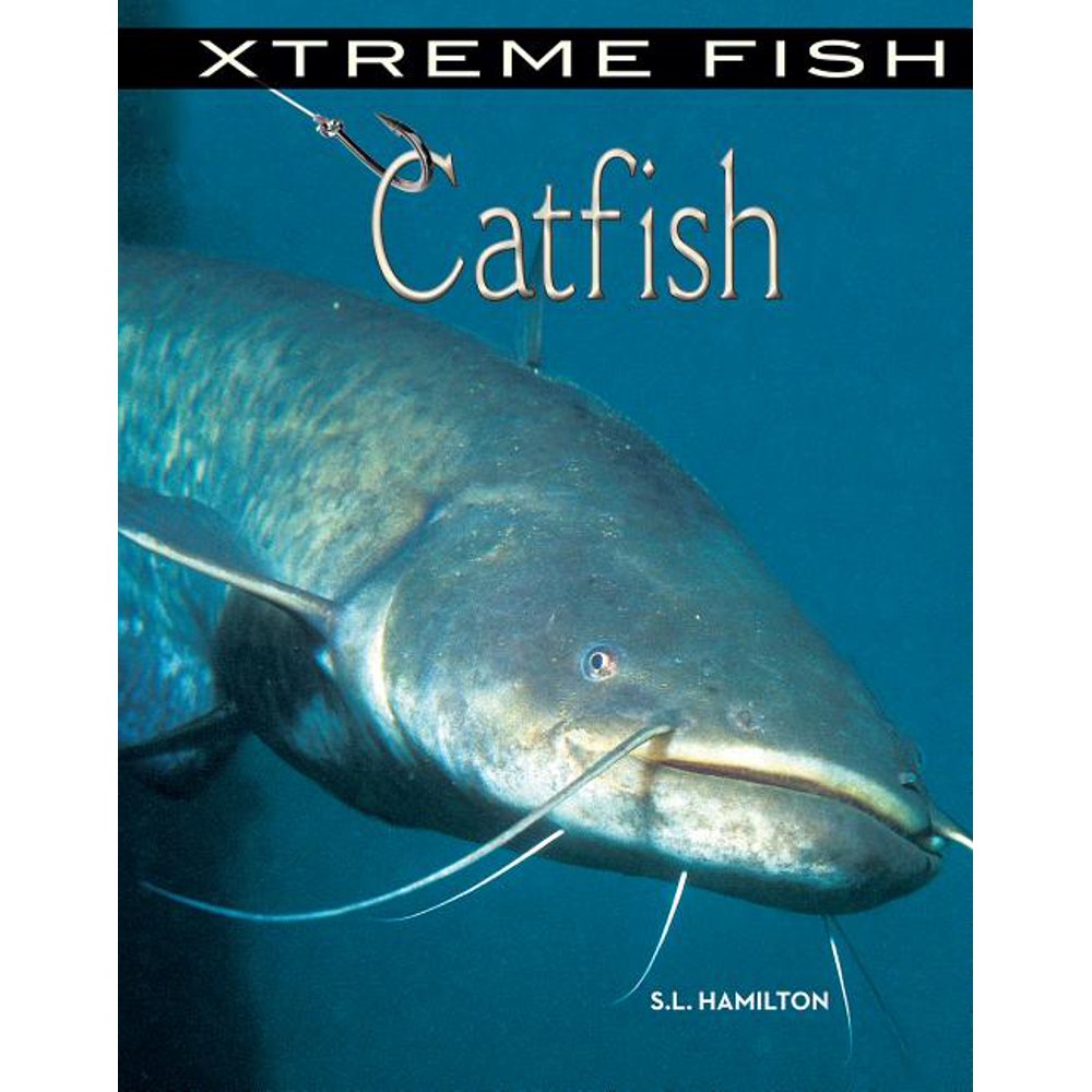 Xtreme Fish Catfish (Hardcover)