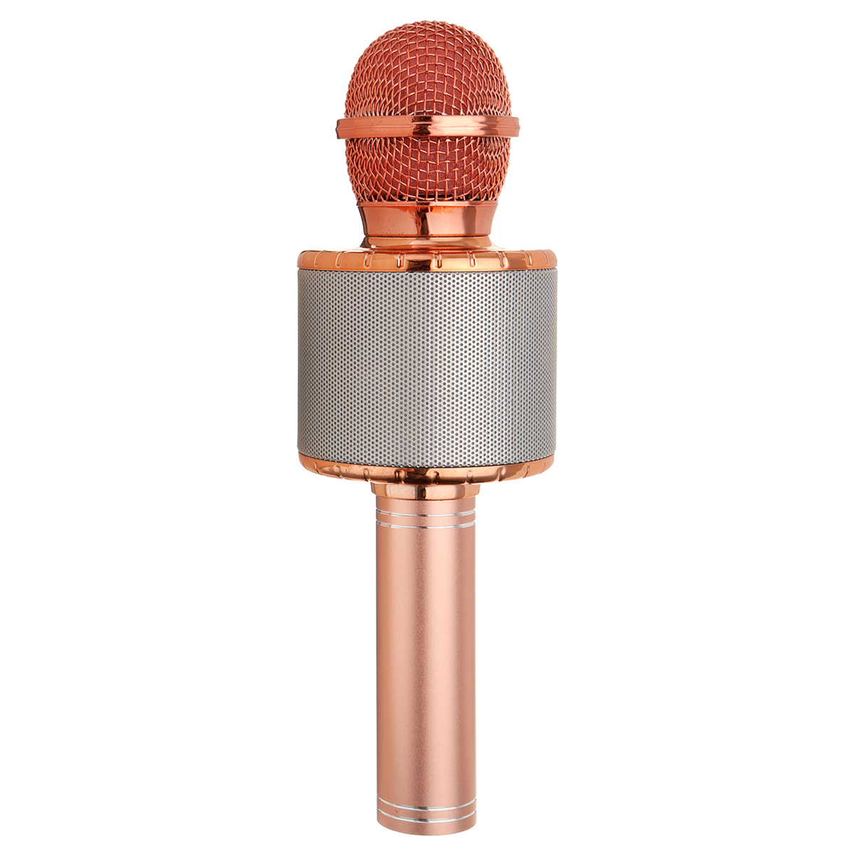 speaker and microphone for singing