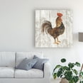 thumbnail image 3 of Trademark Fine Art 'Farm Friend Iii On Barn Board' Canvas Art by Albena Hristova, 3 of 3