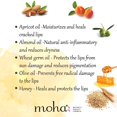 Moha Herbal Lip Balm Enriched With Vitamin E Lip Balm Moisturises