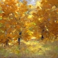 thumbnail image 3 of Finch, Sheila 12x12 Black Modern Framed Museum Art Print Titled - Cottonwoods, 3 of 5