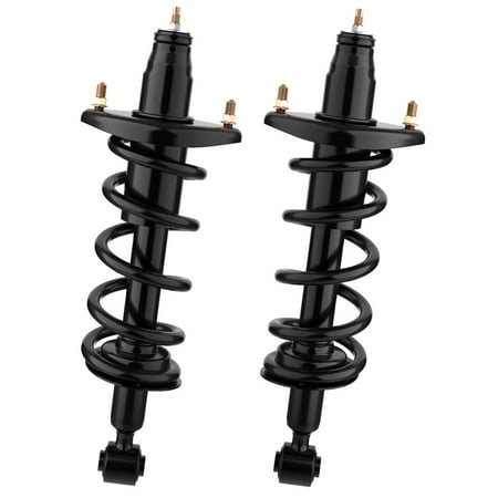 For 2001-2005 Honda Civic Rear Pair Complete Struts & Coil Spring Assembly Quick Struts Shock Kit 2002 2003 (Best Lowering Springs For Civic)