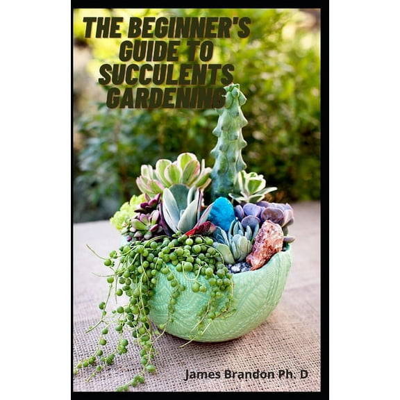 The Beginner's Guide To Succulents Gardening : Perfect Handboo Varieties Of Succulent Gardening (Paperback)