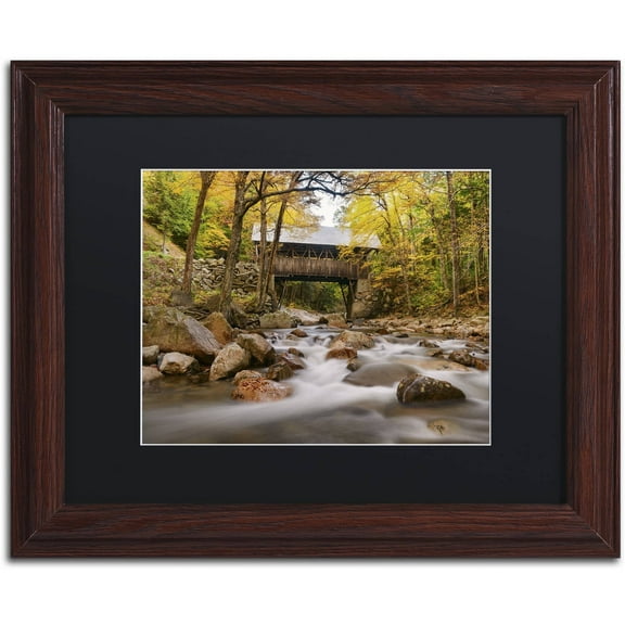 Trademark Fine Art 'The Flume Bridge' Canvas Art by Michael Blanchette Photography, Black Matte, Wood Frame