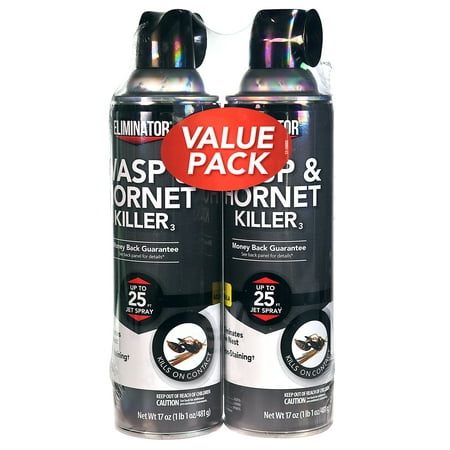 Eliminator Wasp and Hornet Killer, 17 ounces, Two (Best Way To Kill Wasps And Hornets)