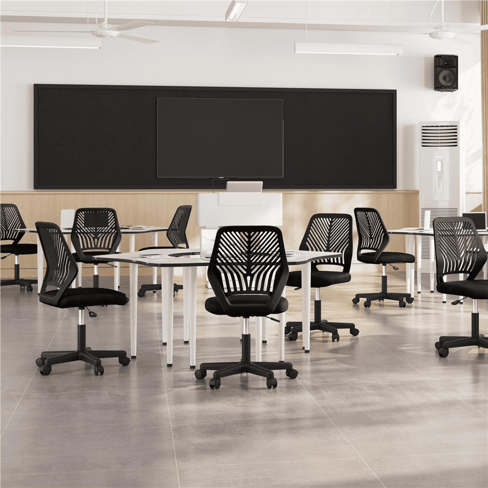 Alden Design Adjustable Armless Mid Back Office Chair, Black