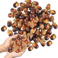 thumbnail image 2 of maskred 50 Pcs de Glands Réalistes en Mousse, Couverture Naturelle, Lot de 50 Fruits pour Fêtes d'Automne, 2 of 6