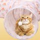 thumbnail image 4 of para gatos de 3 vías para gatos de interior con laberinto de bolas, casa, escondite portátil, interactivo, duradero, juguete para gatos, tubo , forma de Y Sunnimix Gato Túnel, 4 of 8