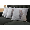 thumbnail image 5 of Ambesonne Fox Throw Pillow Cover 4 Pack, Rural Field Snow Stormy, 16", Brown White, 5 of 5