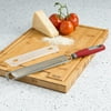 Tasty Stainless Steel Handheld Zester Grater with Blade Guard, Red