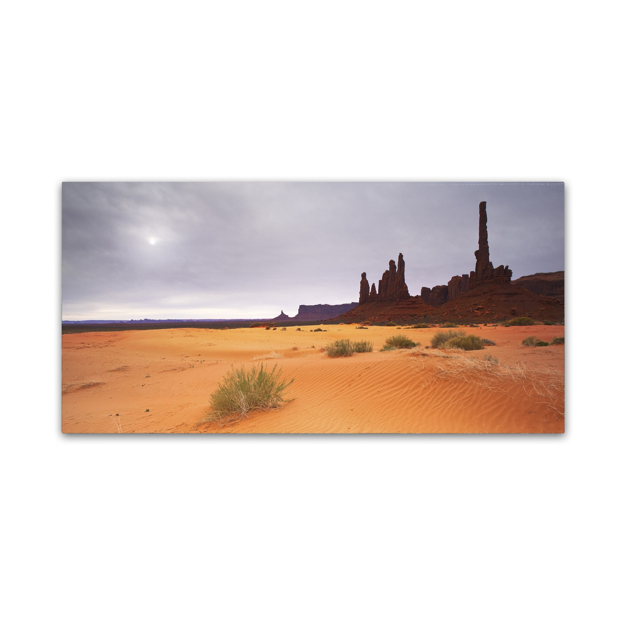 Trademark Fine Art "Monument Valley Panorama I" Canvas Art by Moises Levy