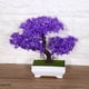 thumbnail image 5 of Decoración de Plantas Artificiales NikouMX Bonsái Artificial en Maceta, 5 of 8