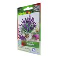 thumbnail image 2 of Pack De 2 Semillas De Lavanda Hortaflor Morado 0.5 Gr, 2 of 3