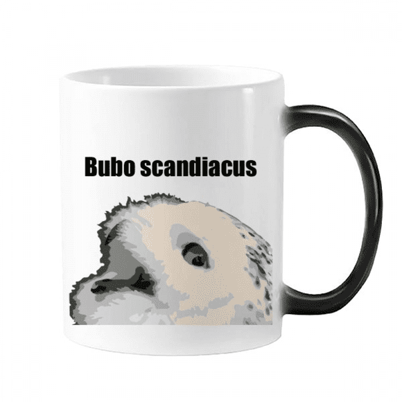 Bubo Scandiacus Bird White Mug Changing Color Cup Morphing Heat Sensitive 12oz