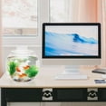 thumbnail image 3 of AURARMLET Plastic Fish Tank Desk for Office Users Round Fish Bowl 1Pack, 3 of 7
