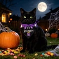 thumbnail image 5 of Twfbrm Halloween Dog Bandanas, Ghost & Bat Print Triangle Fabric Pet Scarf for Boys and Girls, Adjustable Reversible Neckerchief Washable Puppy Bibs Halloween Pet Costume for Cats and Dogs, 5 of 6