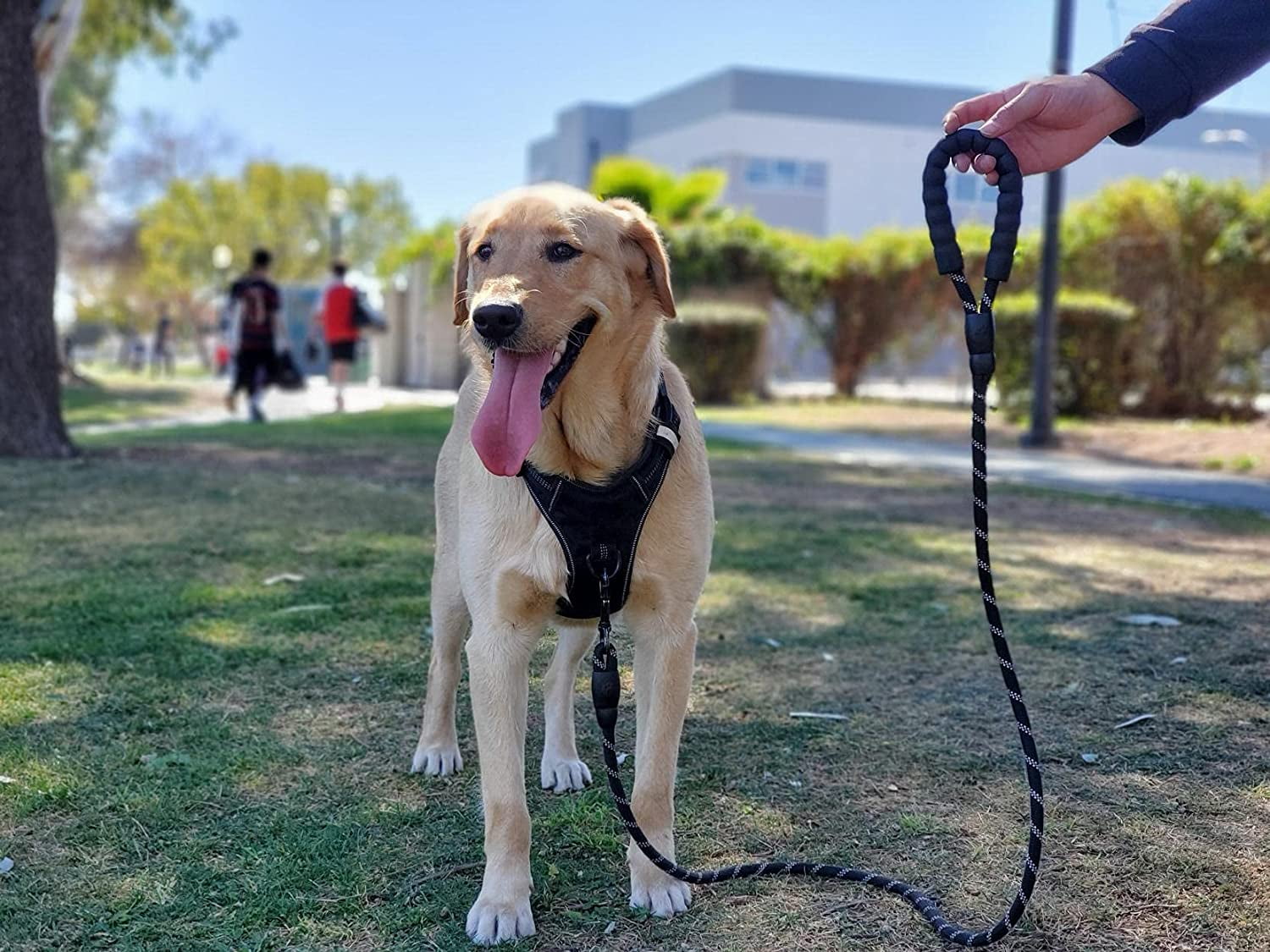 Rirool 5ft Black Nylon Rope Dog Leash with Padded Handle photo 4