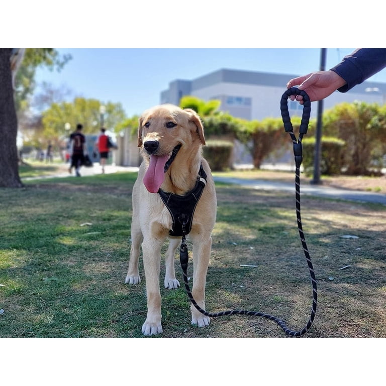 Vivaglory Chew Proof Dog Leash with Soft Foam and Reflective