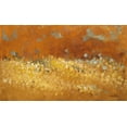 thumbnail image 2 of Loreth, Lanie 24x16 Gold Ornate Wood Framed with Double Matting Museum Art Print Titled - Flower Fields II, 2 of 4